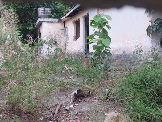 #877 - Terreno para Venda em Osasco - SP