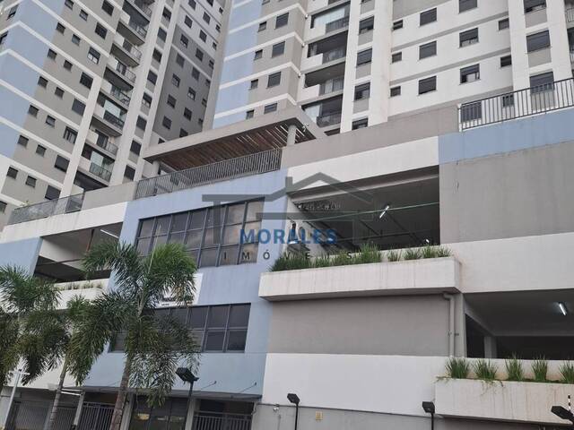 #704ton - Apartamento para Venda em Osasco - SP