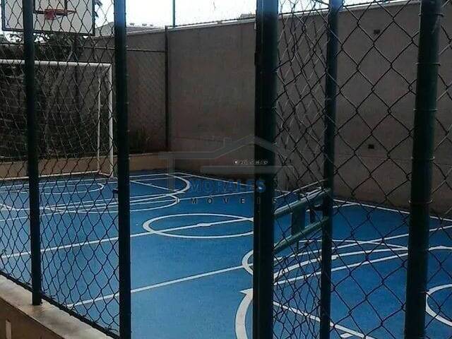 IMPORT49