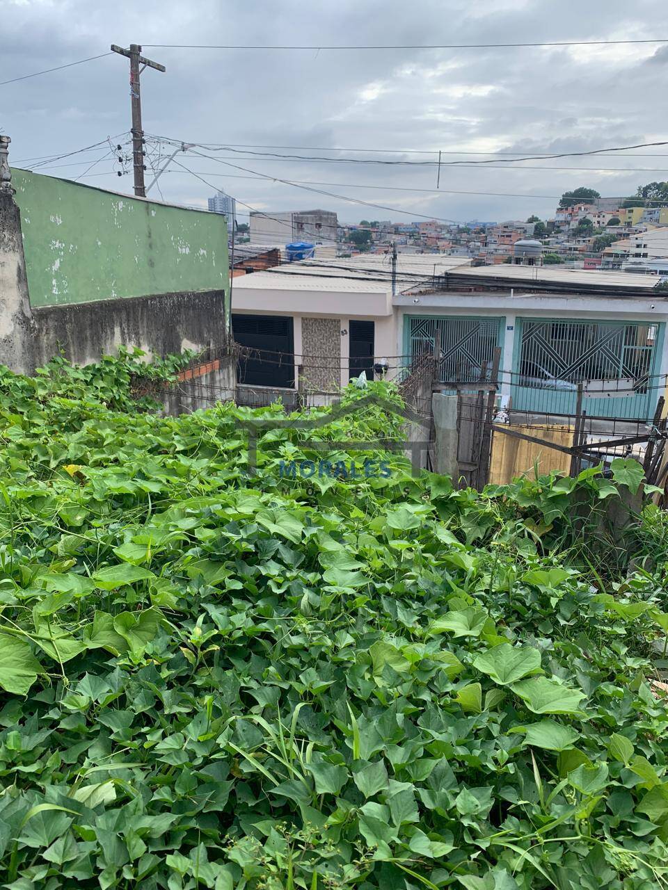 Terreno à venda - Foto 3