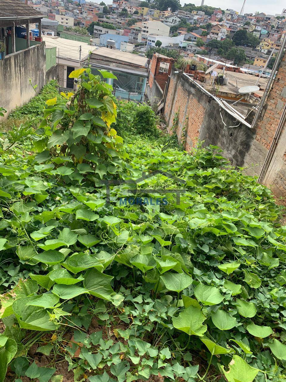 Terreno à venda - Foto 4