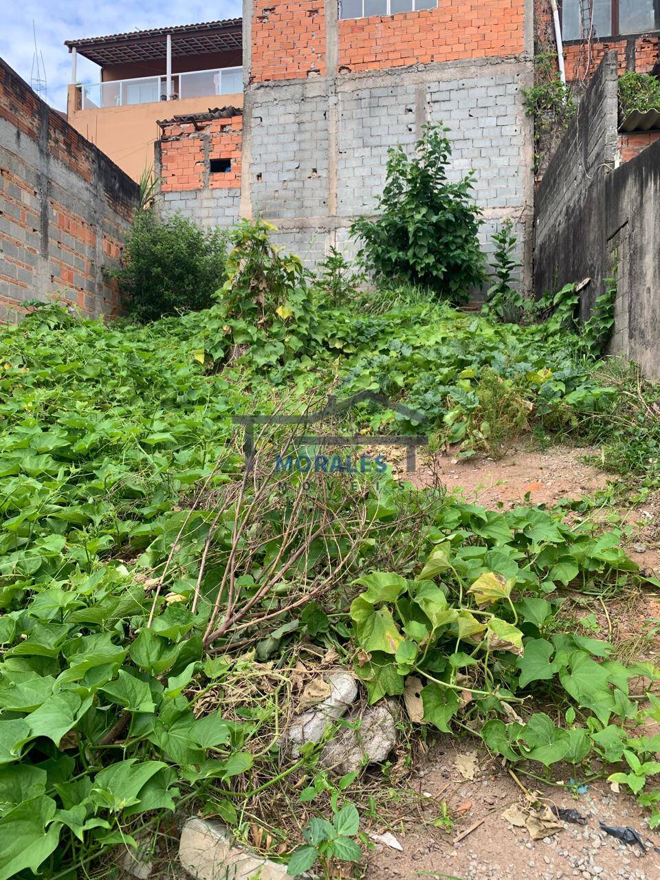 Terreno à venda - Foto 5